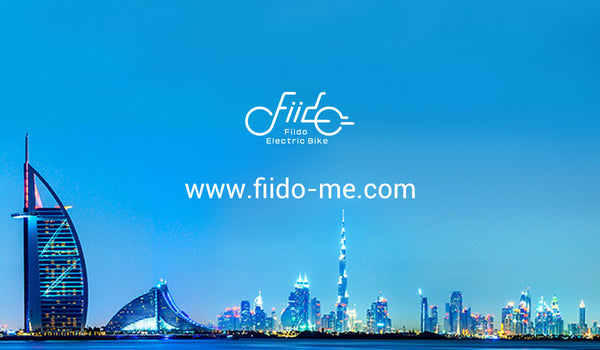 Fiido UAE official website officially launched
