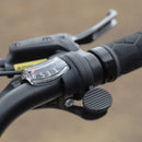 Fiido C11 City E-Bike