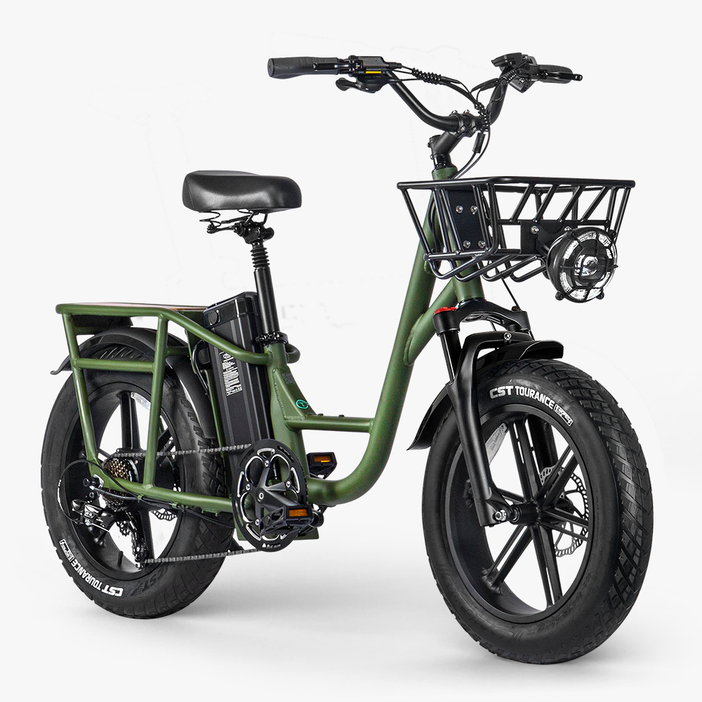 Fiido T1 Pro: Powerful Electric Cargo Bike with Fat Tires Front View