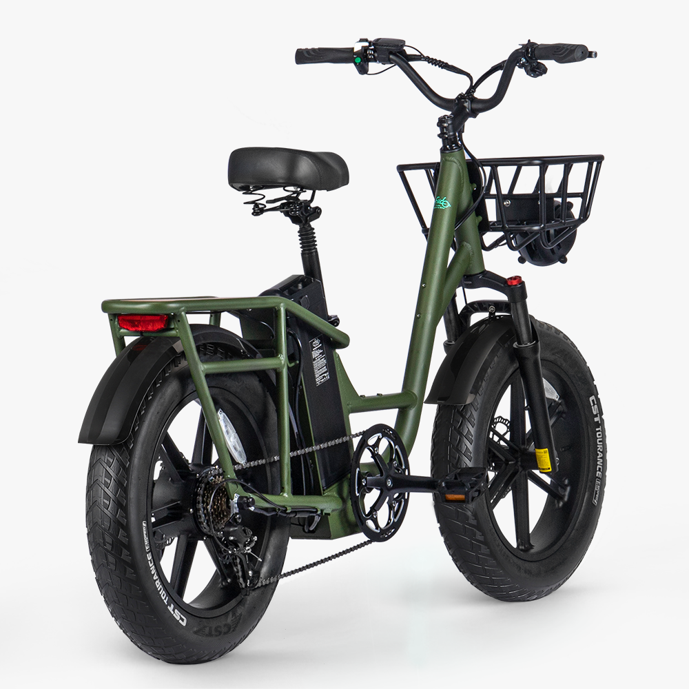 Fiido T1 Pro: Powerful Electric Cargo Bike with Fat Tires Rear View