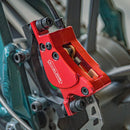 Fiido M1 Pro Fat Tire Electric Bike