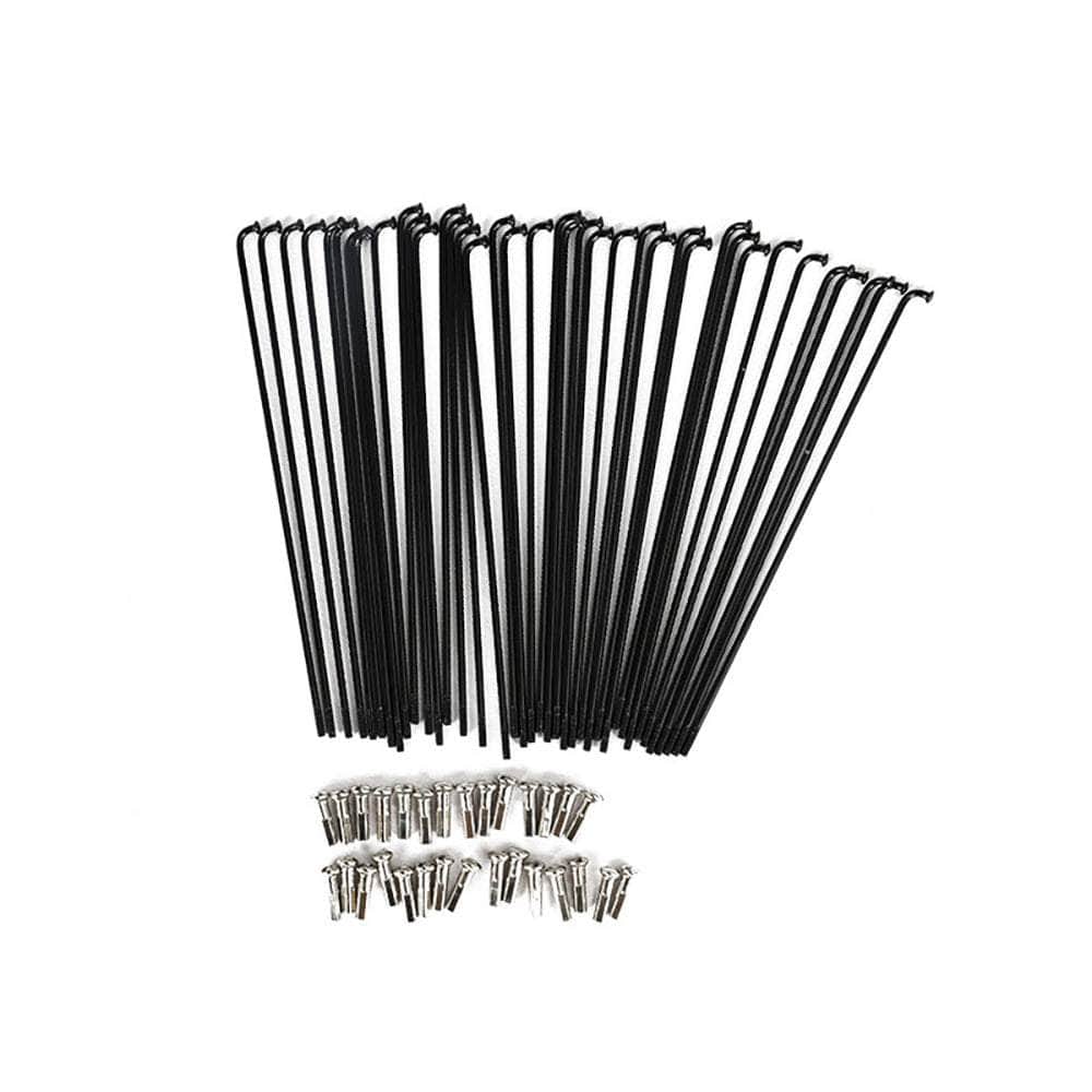 Fiido Electric Bike Rear Wheel Spokes for D11/D21