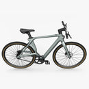 Fiido Air Ultra-Light Carbon Fiber E-Bike