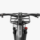 Fiido Titan Robust Cargo Electric Bike with Spotwatch