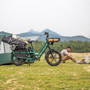 Fiido T2 Long Tail Cargo Electric Bike Parked on the Grass
