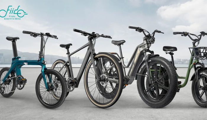 In the photo, four different bikes from the Fiido brand.