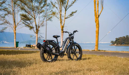 A Fiido Titan electric bicycle is temporarily parked by the lake.