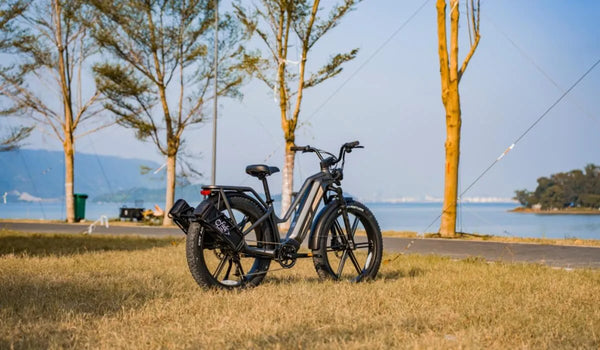 A Fiido Titan electric bicycle is temporarily parked by the lake.