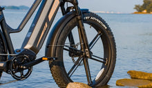 Fiido titan electric bike shown with 26-inch tires.