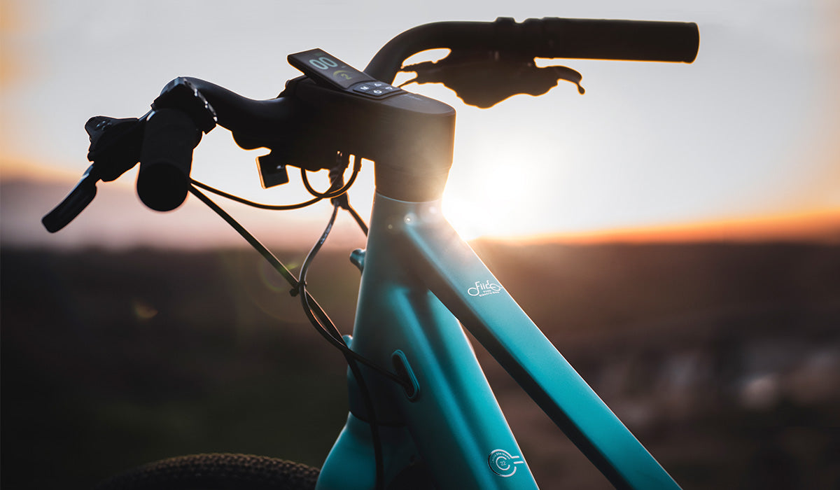 top 10 electric cycle