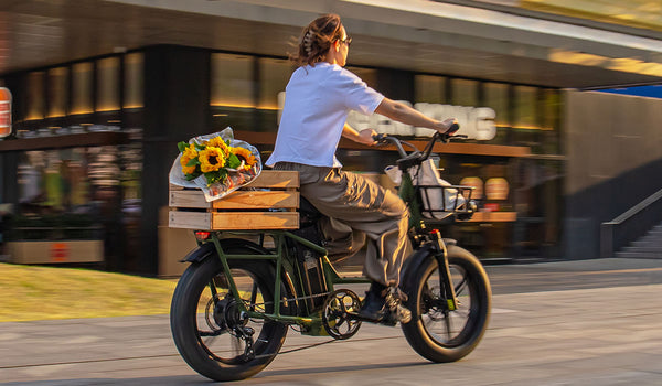 Fiido T1 Pro electric bike with a cargo box, ideal for urban commuting