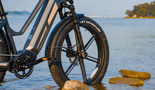 Fiido titan electric bike shown with 26-inch tires.