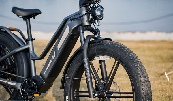 Fiido Titan electric bike front view