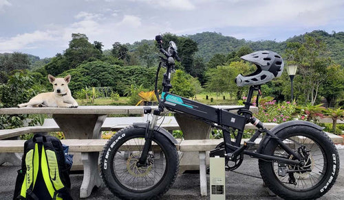 Fiido M1 Pro electric bike parked by a picnic table in a scenic setting.