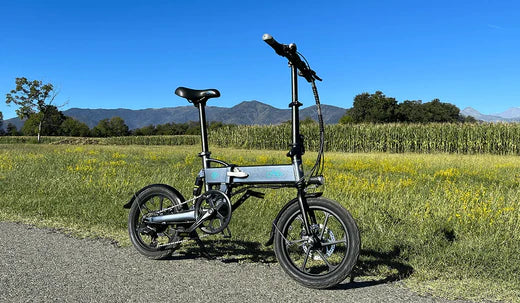 Fiido D2S electric bicycles are placed on the roadside