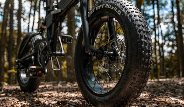 Fiido off road fat tire e-bike.