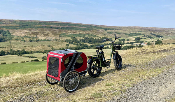 Why Ebikes Are The Most Economical And Practical Travel Tool For Families