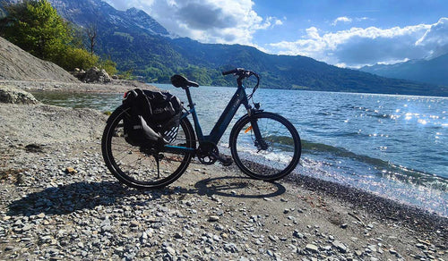 Fiido C11 electric bike parked by the lake