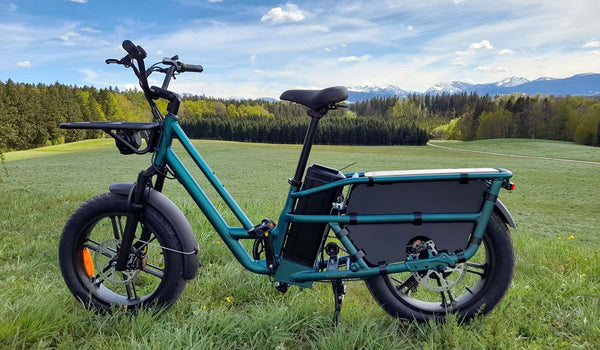 Fiido T2 electric bike with a robust frame, ideal for outdoor use.