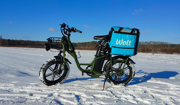 Fiido T1 Pro electric bike with a delivery bag in the snow