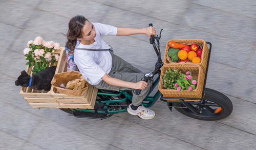 A woman rides the Fiido T2 ebike carrying flowers, groceries, and a dog.