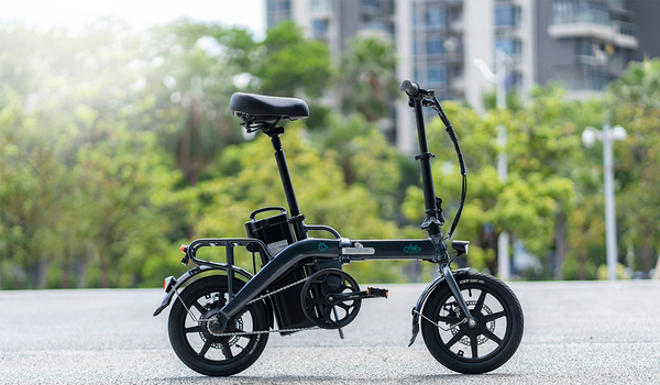 Fiido L3 electric bicycle parked on the roadside