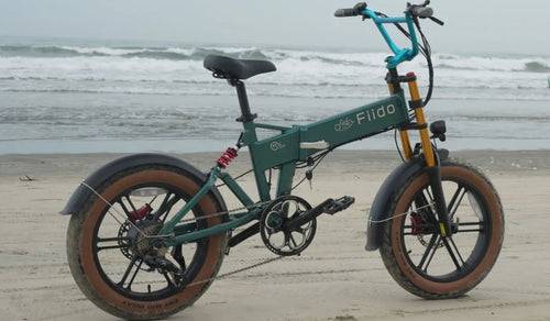 The Fiido M1 Pro electric bike shown in the picture.