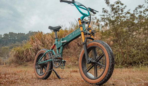 The picture shows the Fiido M1 Pro electric bicycle