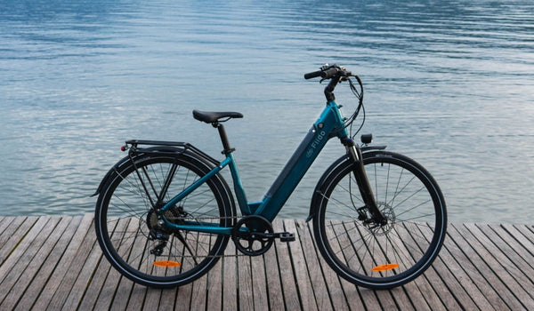 A Fiido C11 Pro lightweight electric bike was temporarily parked by the lake.