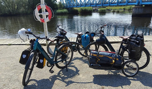 Several Fiido C11 Electric Bicycles Temporarily Parked by the Roadside