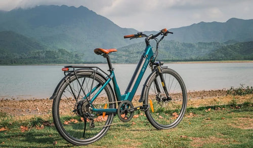 A Fiido C11 Pro electric bike is temporarily parked by the lakeside.