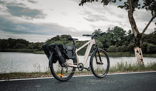 Fiido Nomads touring e-bike parked by the lake