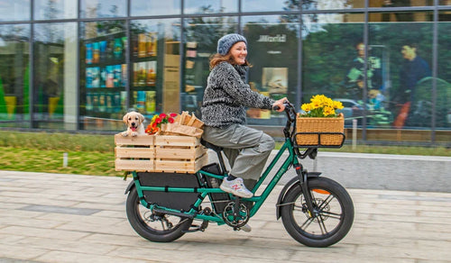 A woman rides a Fiido T2 electric cargo bike to the city center to shop for goods.