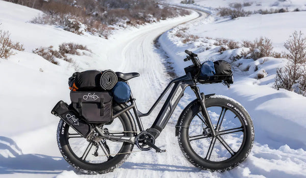 A Fiido Titan hunting eBike placed in the snow.