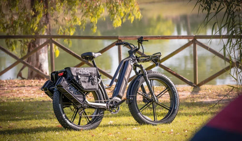 Fiido Titan Fat Tire Electic Bike