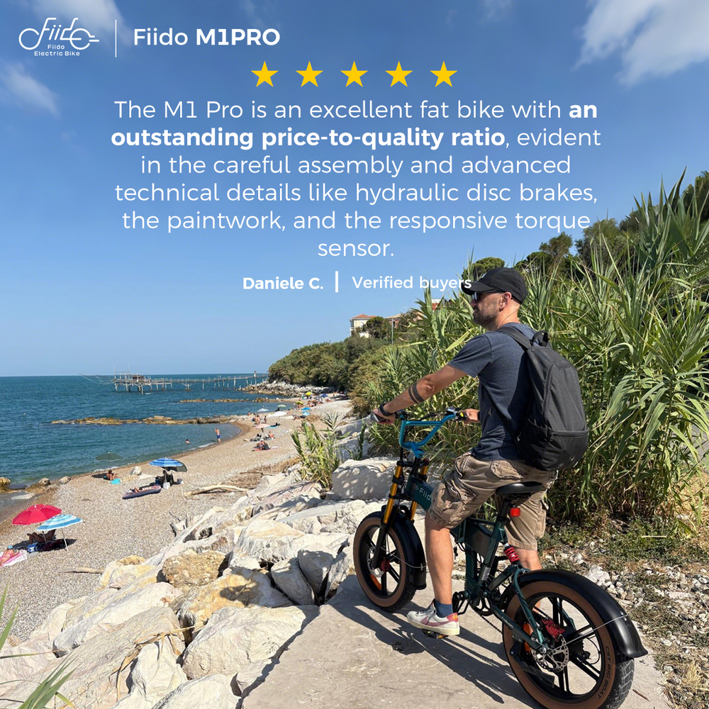 fiido m1pro 615wh faltbares fullsuspension elektro-mountainbike Fiido M1 Pro
