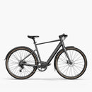 Fiido C21 Gravel & City E-Bike