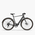 Fiido C21 Gravel & City E-Bike