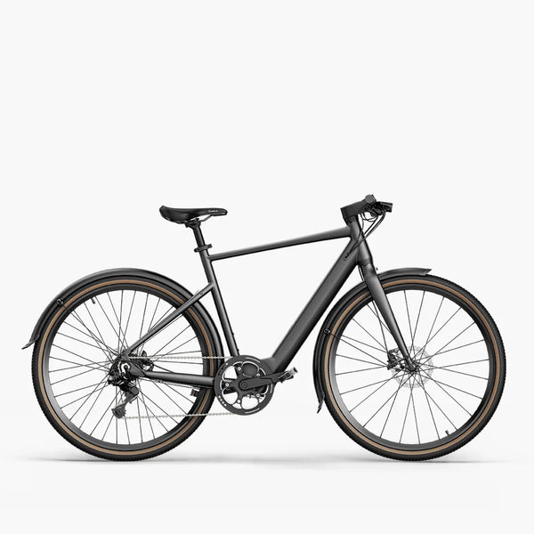 Fiido C21 gravel & city e-bike