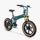 Fiido M1 Pro Fat Tire Electric Bike