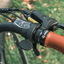 Fiido C11 Pro City E-Bike