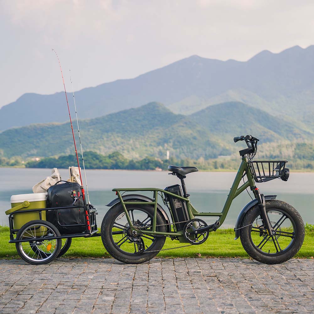 Fiido T1 Pro Utility Electric Bike