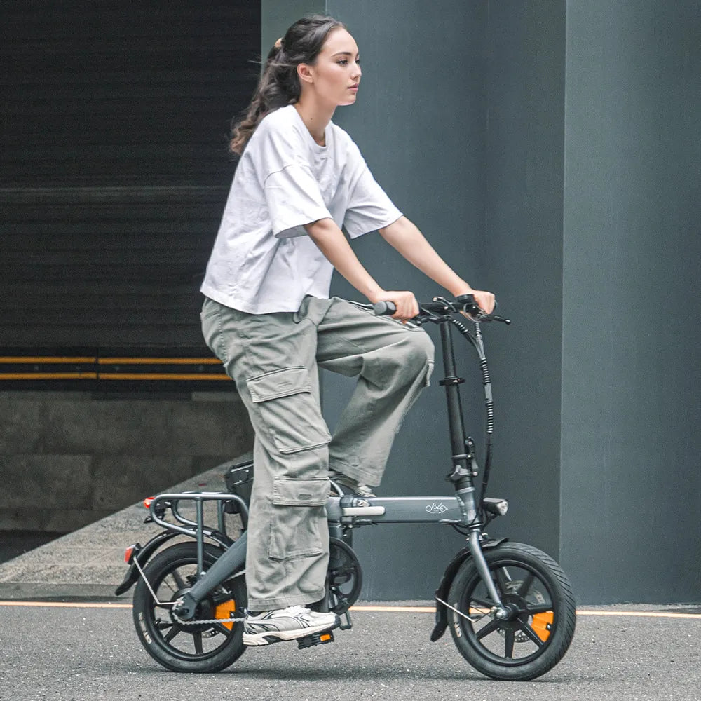 Fiido L3 Mini Folding Long Range Ebike