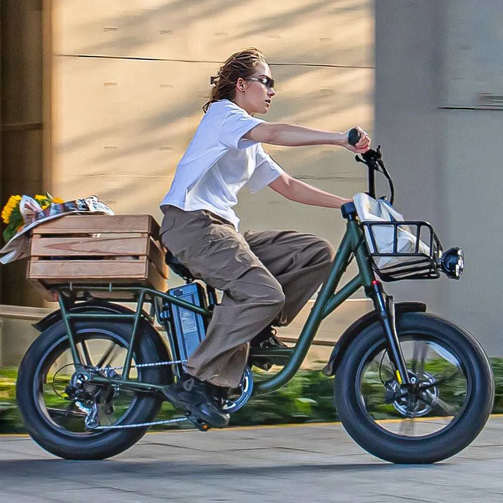 Fiido T1 Pro Utility Cargo Ebike with Fat Tires