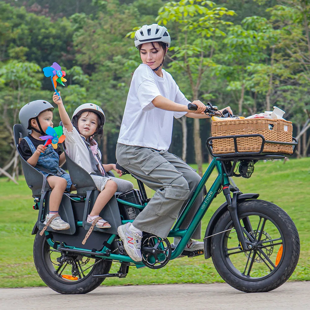 Fiido T2 Longtail Cargo E-bike