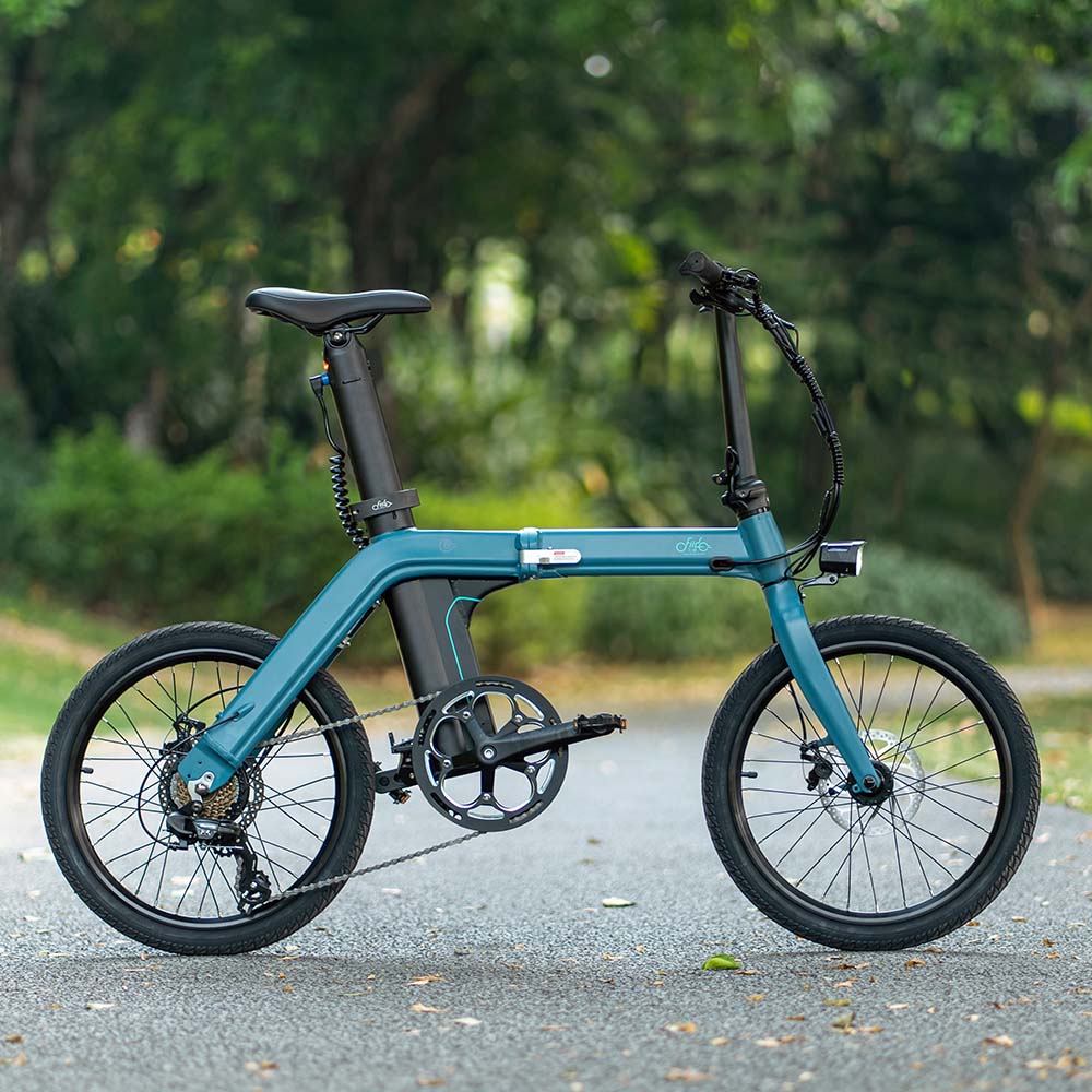 Fiido D11 Folding E-bike displayed in the forest