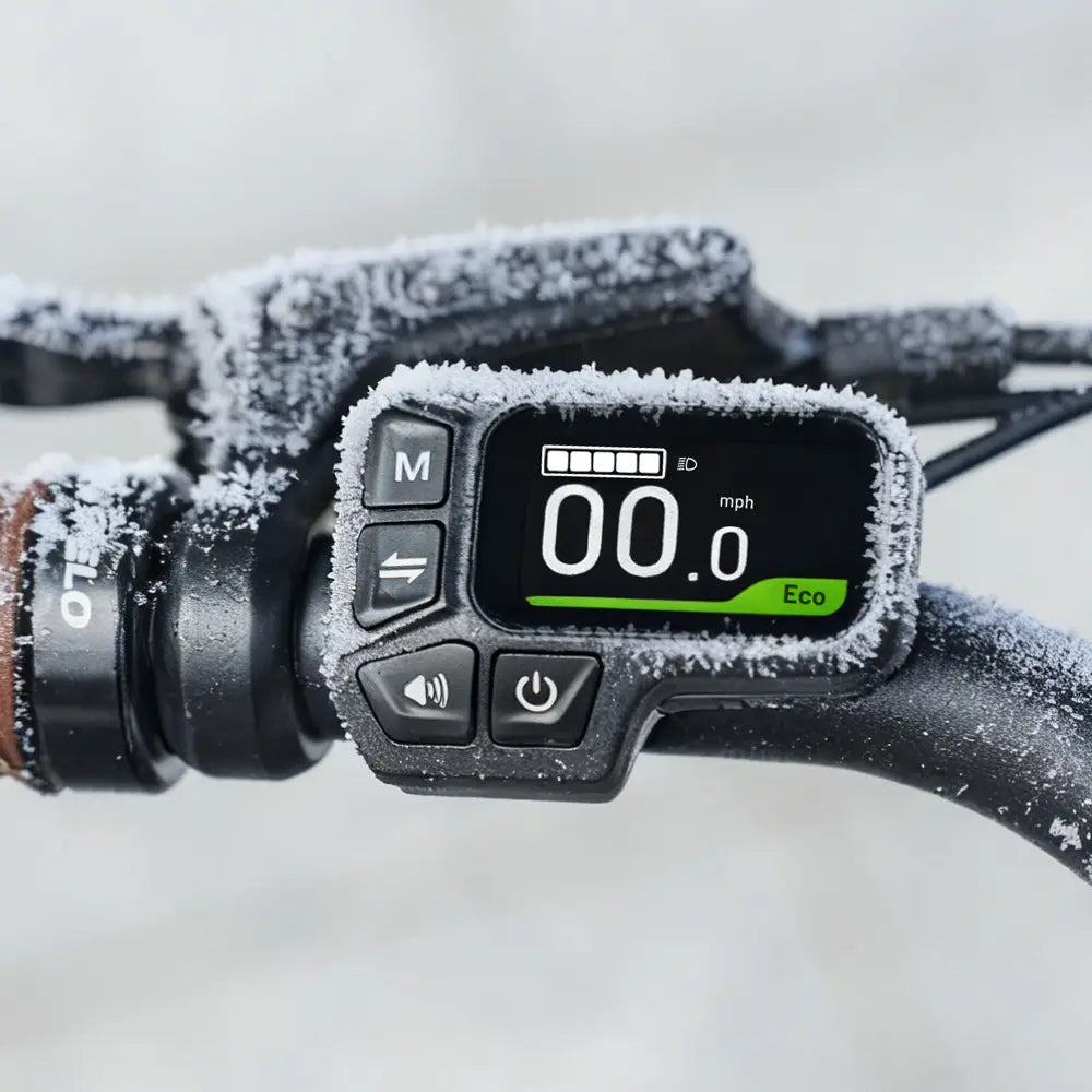 Fiido C11 Pro City E-Bike