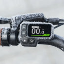 Fiido C11 Pro City E-Bike