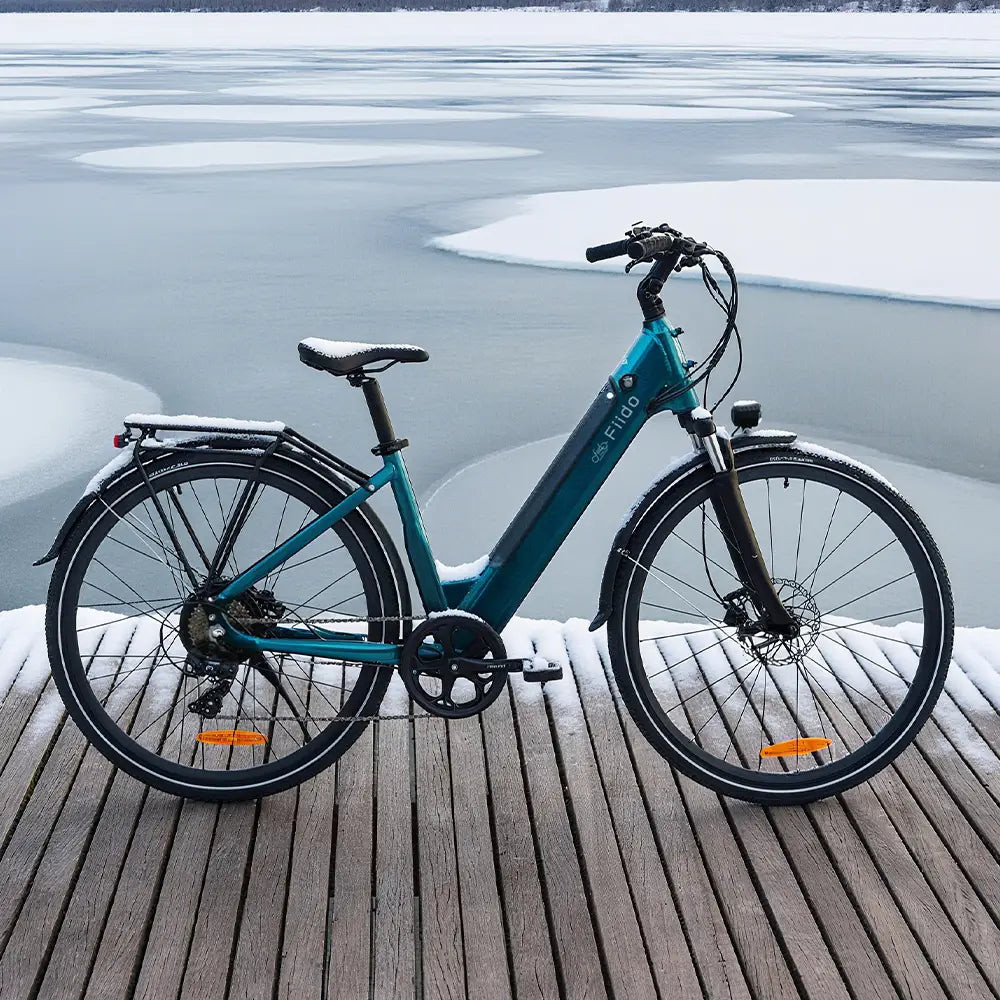 Fiido C11 City E-Bike