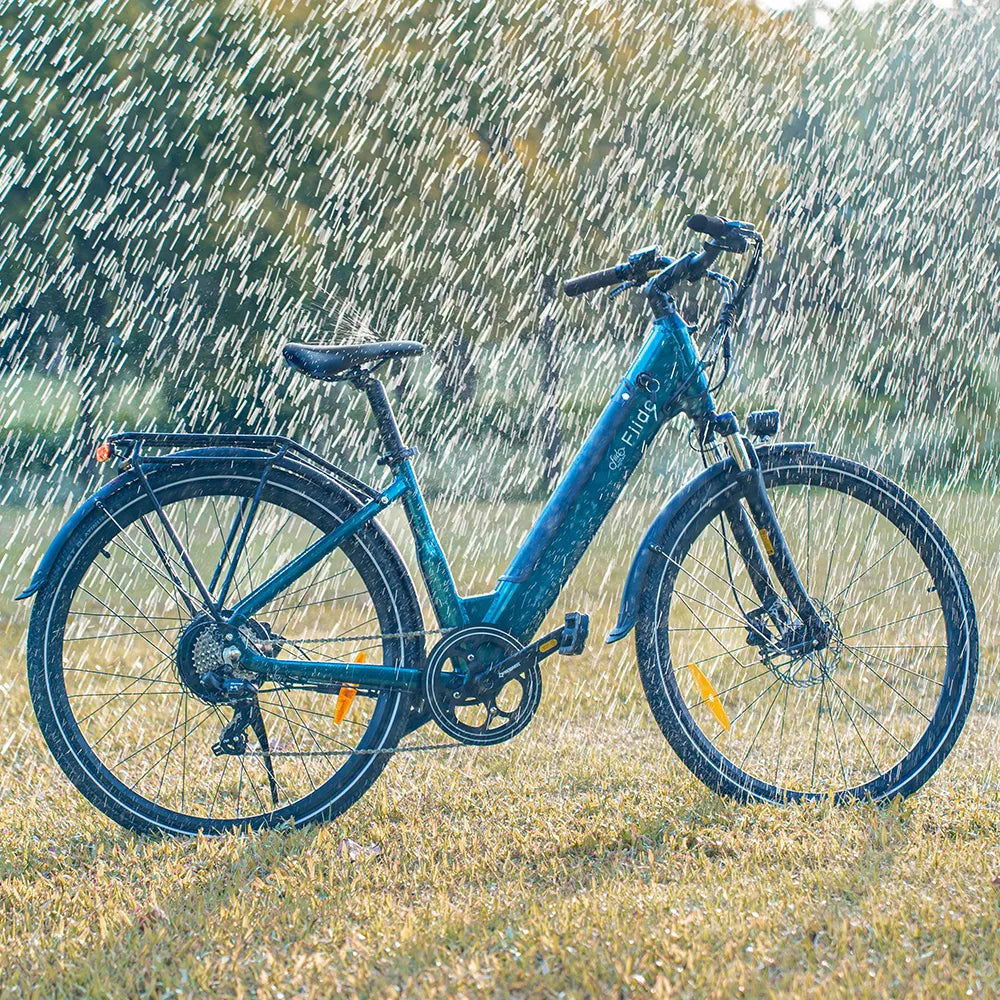 city electric bicycle Fiido C11